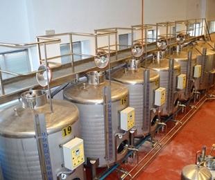 Bodega de elaboración